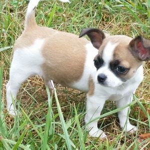 Meet your Posher, Crystal